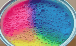 Tri Colored Slime With Hearts GIF