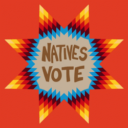 Tribal Chief Fights For Native Votes GIF