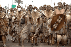 Tribal Chief With Tribe Brings Shield And Weapons GIF