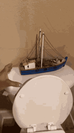 Tricia Grace Ship GIF