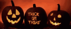 Trick Or Treat Pumpkins GIF