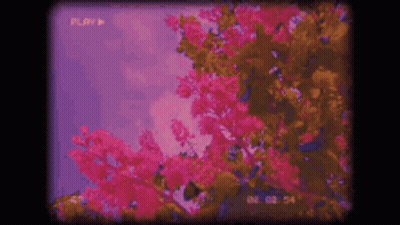 Trick Or Treat Want A Dick To Eat Halloween GIF