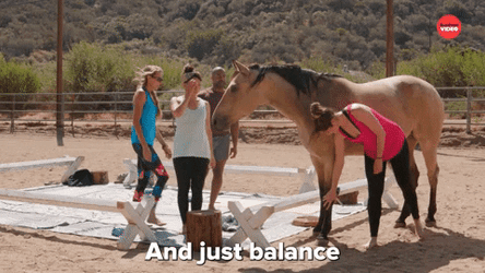 Tried Pommel Horse Yoga GIF