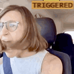 Triggered Lady Shouting In Car GIF