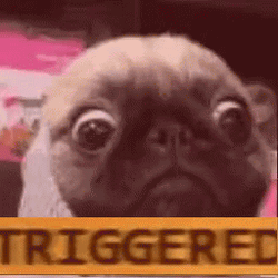 Triggered Pug Dog Face GIF