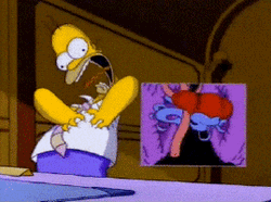 Triple Bypass Homer Meme GIF