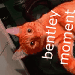 Triple Lindy GIF