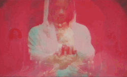Trippie Redd Pigeon GIF