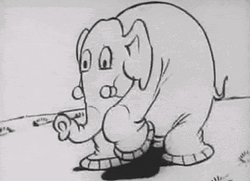 Tripping Elephant And Gorillas GIF