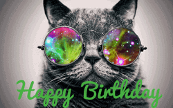 Trippy Happy Birthday Cat