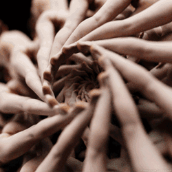 Trippy Legs Revolving Loop GIF