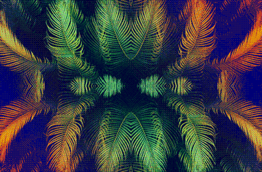Trippy Palm Tree Psychedelic Art GIF