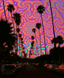 Trippy Tropical Wallpaper GIF