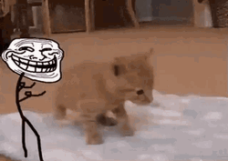 Troll Face Meme Pushing Cat GIF