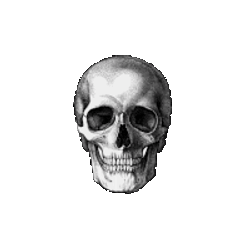 Troll Face Meme Sticker GIF