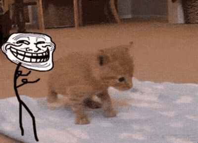 Troll Face Next To Kitten GIF