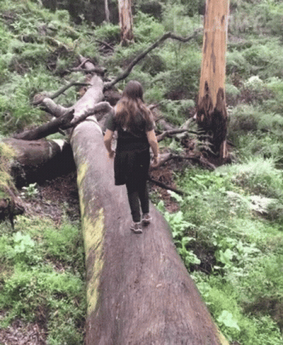 Troll Face Troll Complete Return To Shadows GIF