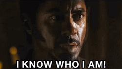 Tropic Thunder Robert I Know Who I Am GIF