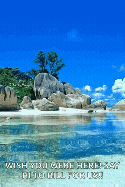 Tropical Beach Wish You Were Here Say Hi To Bill GIF
