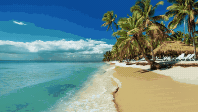 Tropical Beach With Palm Trees And Chairs GIF