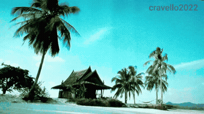Tropical Island 2022 GIF