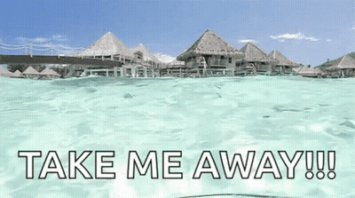 Tropical Island Take Me Away GIF