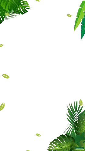 Tropical Leaves And Flowers Palmolive Ad Sticker