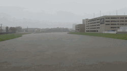 Tropical Storm Aftermath Flooded Street GIF