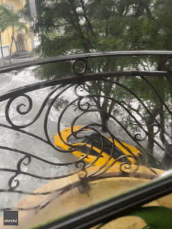 Tropical Storm Car Submerged In Flood GIF