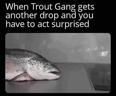 Troutgangosrs Winterosrs Trout Gang Wintertrouts Troutbingo Troutgang GIF