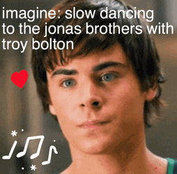 Troy Bolton High School Musical GIF