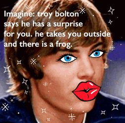 Troy Bolton Zac Efron GIF