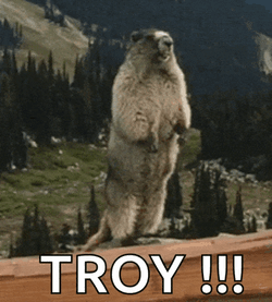 Troy Gopher GIF