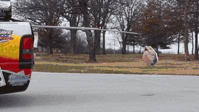 Truck With Save Sticker On Back GIF