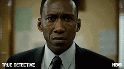 True Detective Mahershala Ali Wayne Hays Stare  GIF