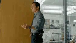 True Detective Rustin Cohle Middle Finger  GIF