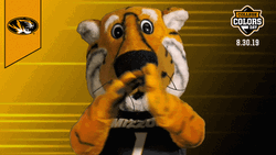 Truman The Tiger Mizzou Clapping GIF