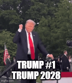 Trump 1 Trump Number 1 GIF