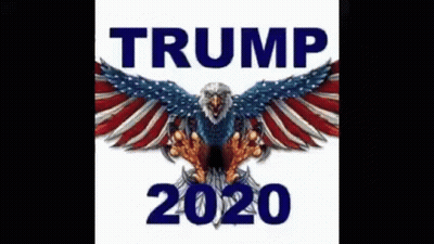 Trump 2020 Eagle American Flag Poster GIF
