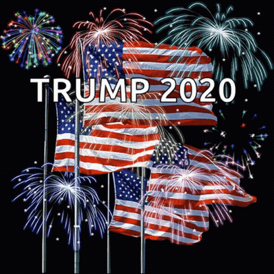 Trump 2020 Poster With Fireworks And American Flags GIF