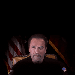 Trump 2024 Arnold Self Righteous GIF