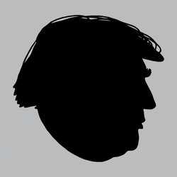 Trump 2024 Head Shadow Impeached Twice GIF