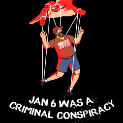 Trump 2024 Jan 6 Criminal Conspiracy GIF