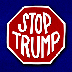 Trump 2024 Stop Trump President GIF