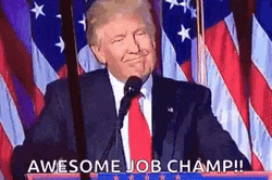 Trump Awesome Job GIF