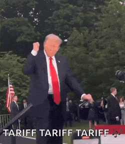 Trump Dance Trump 2024 GIF