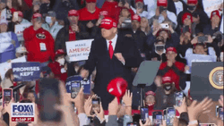 Trump Dancing Campaign Period GIF