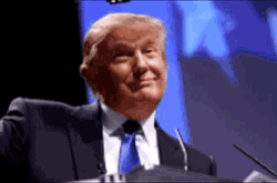 Trump Deal With It GIF