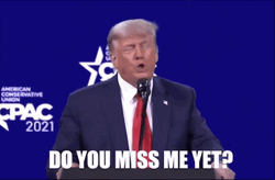 Trump Do You Miss Me Yet GIF