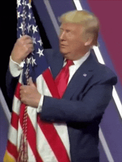 Trump Donald GIF